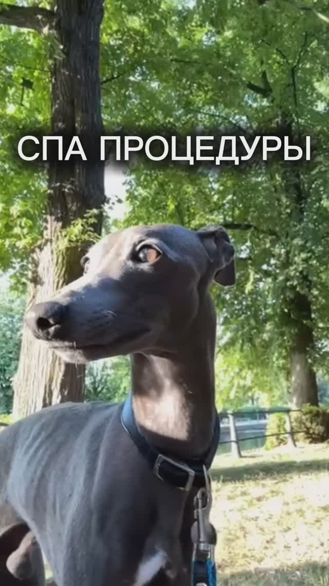 В пятницу вечером устрою себе СПА процедуры.