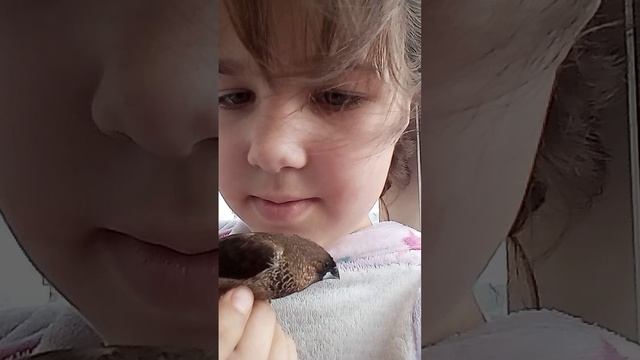 1000019226.mp4