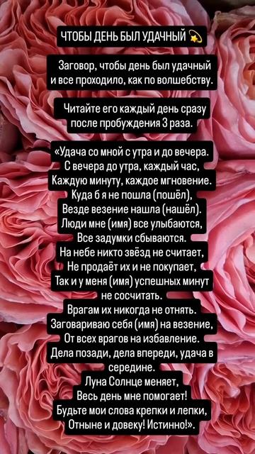 ♤♡◇♧