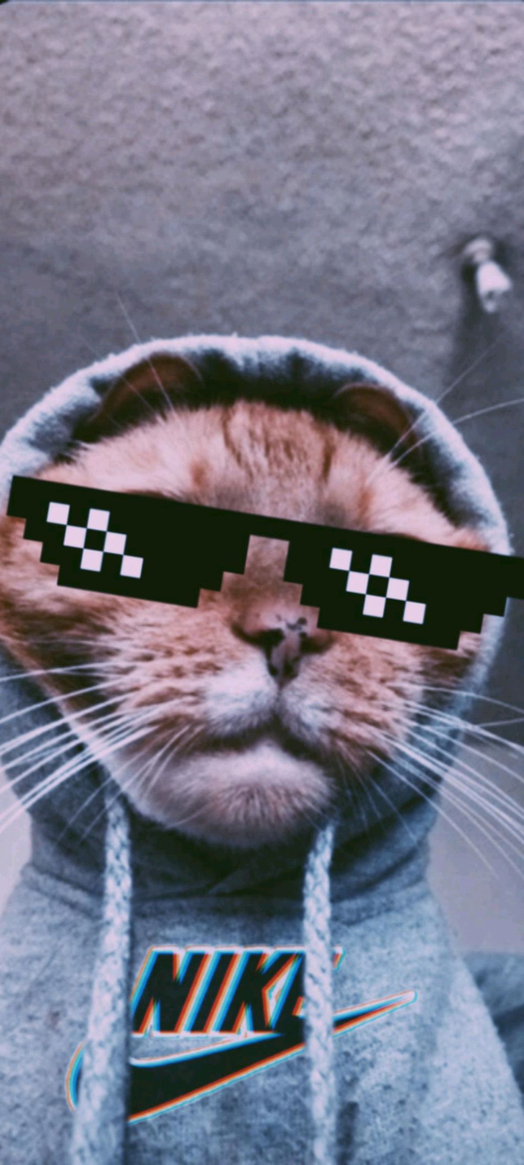 ночная трансляция