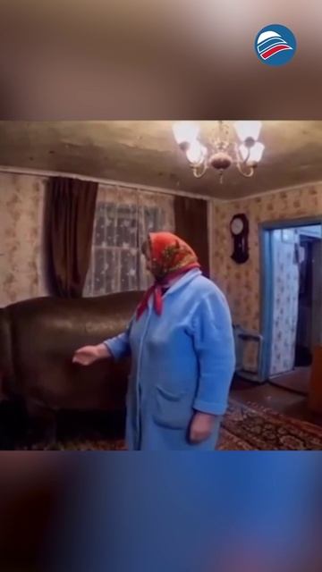 Бегемот, живущий в квартире с пенсионеркой, оказался сгенерированным ИИ