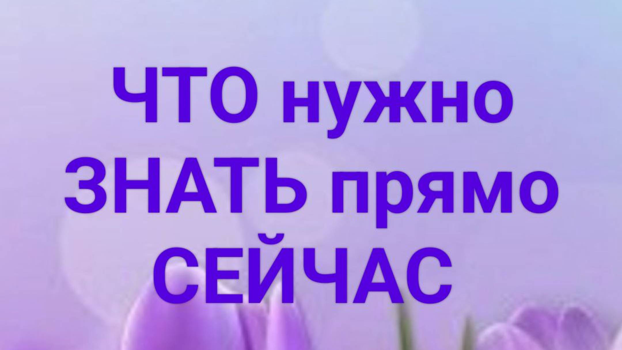 ⚡ ЧТО нужно ЗНАТЬ прямо СЕЙЧАС?⚡