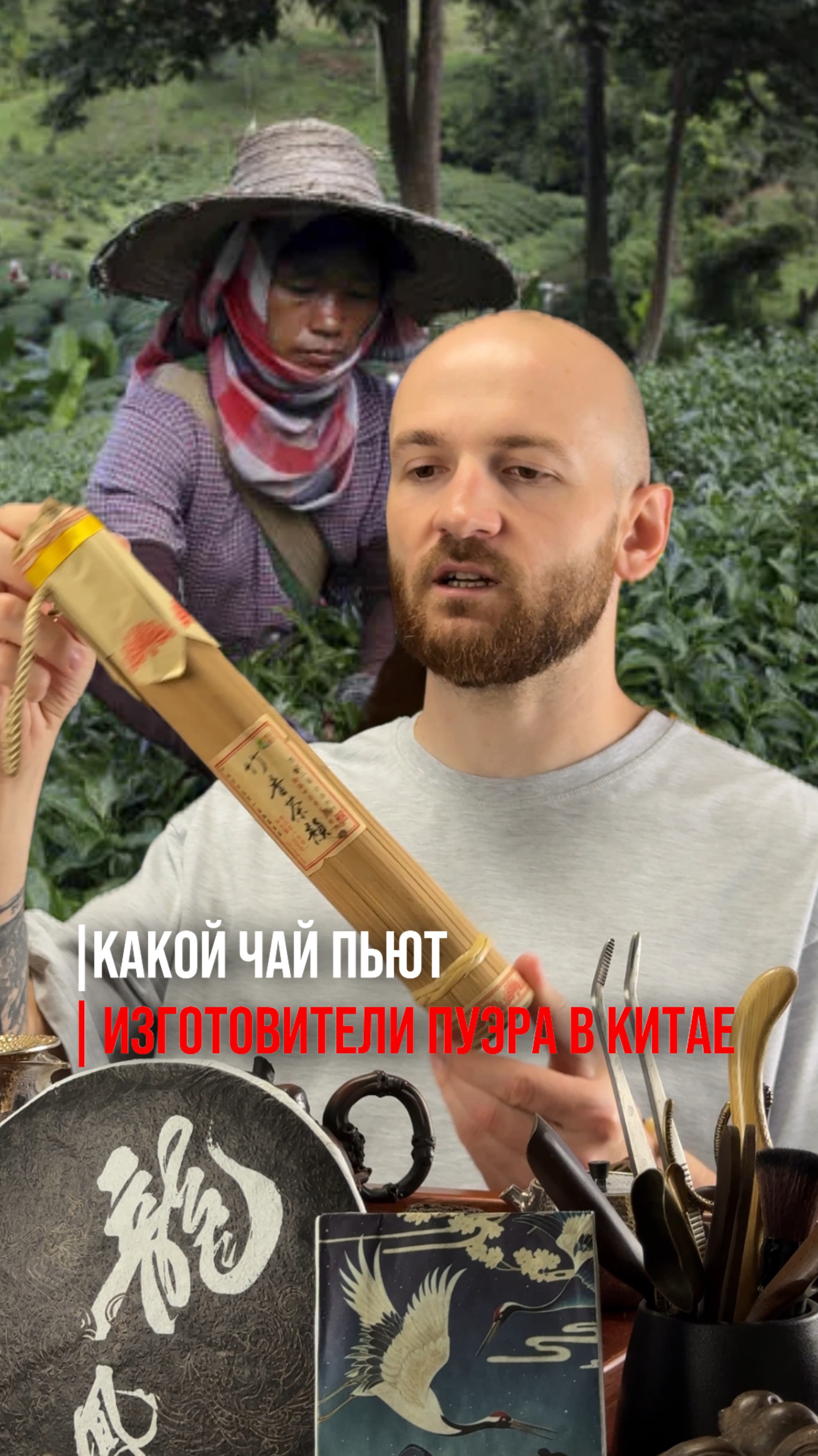 Что пьют изготовители Пуэра в Китае  #чай #китайскийчай #мифы #китай