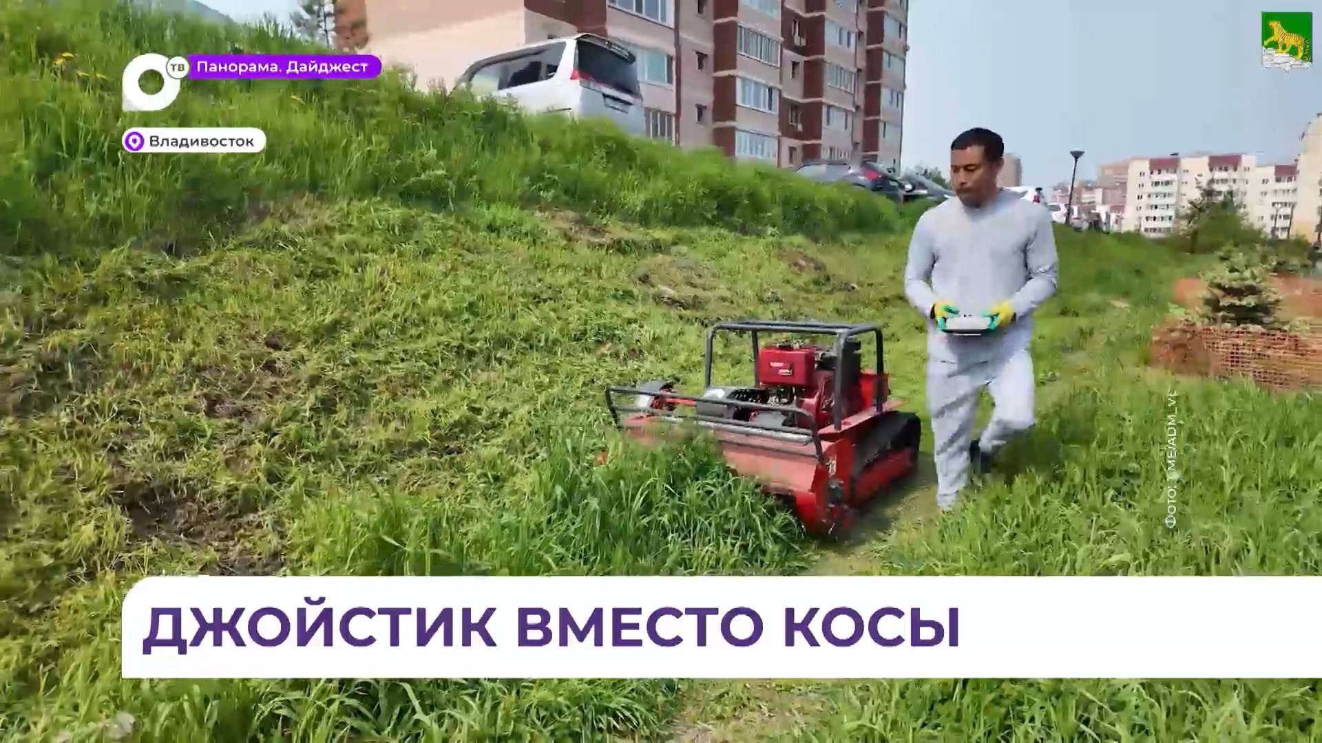 Во Владивостоке для газонов стали использовать радиоуправляемую технику