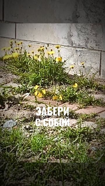 Бой самим собой...подпишись 👍🚀💯