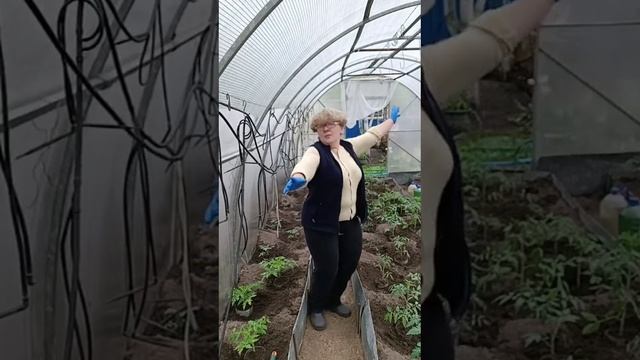 VID-20250530-WA0001.mp4
