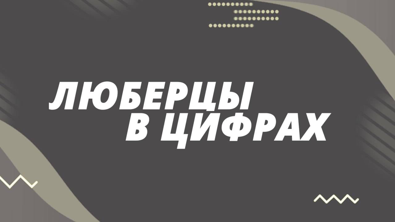 Люберцы в цифрах. Спорт