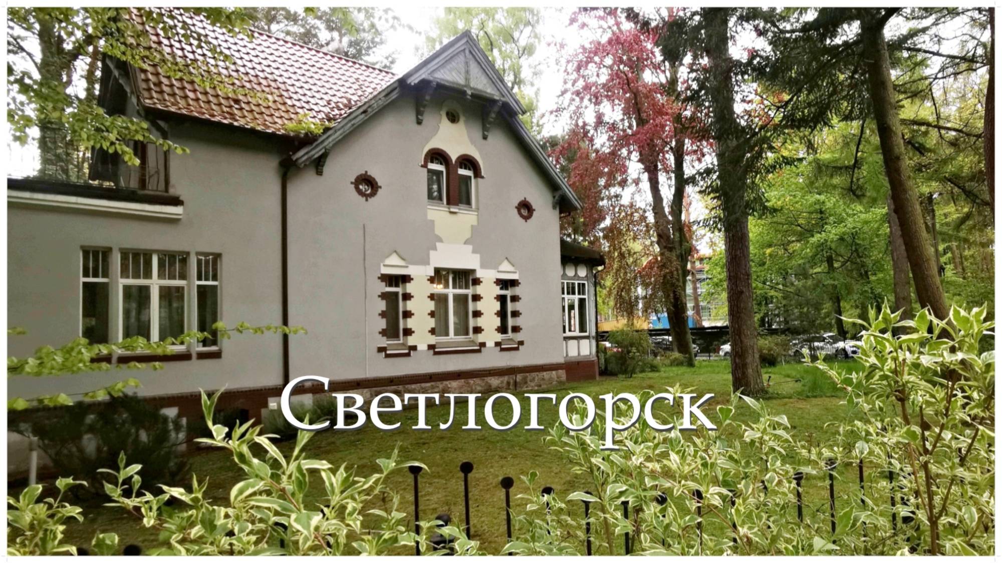 Светлогорск