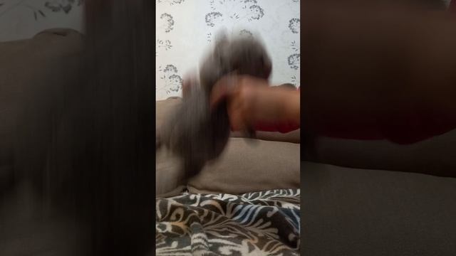 1000060002.mp4