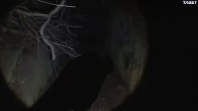 Кассета Страха   Ужасы