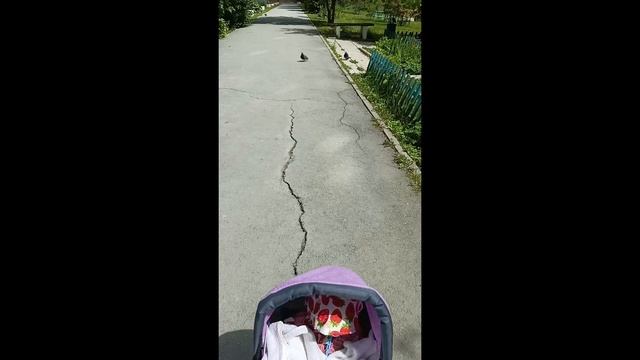 #ВЛОГ. Прогулка с двойняшками. ❤️🔥🍼🫰