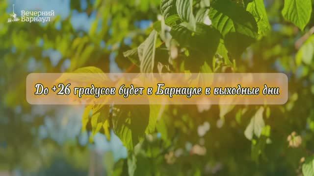 До +26 градусов прогреется воздух в Барнауле в выходные дни