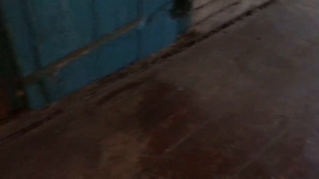 ПОЙМАЛ РОЙ!!!