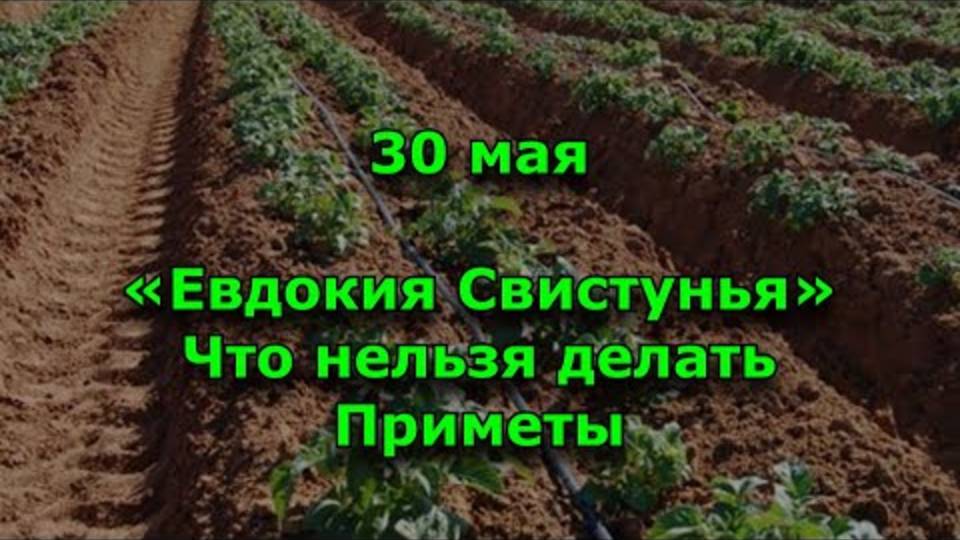 30 МАЯ - ДЕНЬ СВИСТУНЬИ! 🌀 ЧТО НИ В КОЕМ СЛУЧАЕ НЕЛЬЗЯ ДЕЛАТЬ? (Народные приметы, которые ШОКИРУЮТ