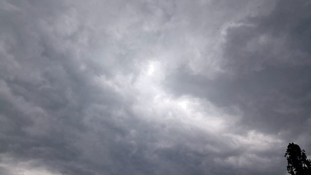 1000007479.mp4