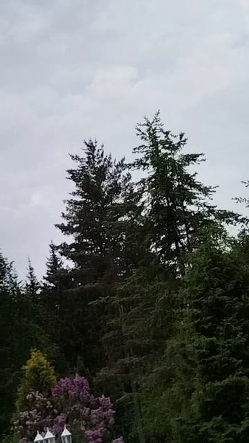 lv_0_20250530190147.mp4