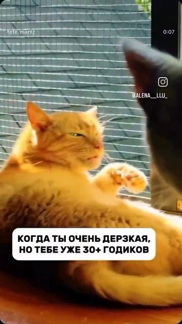 1000006662.mp4