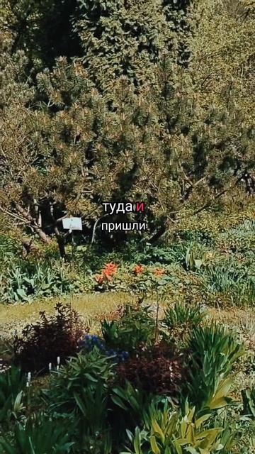 больше медитаций - в Ведьминой Кладовой