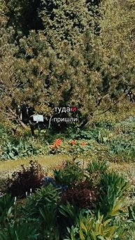 больше медитаций - в Ведьминой Кладовой