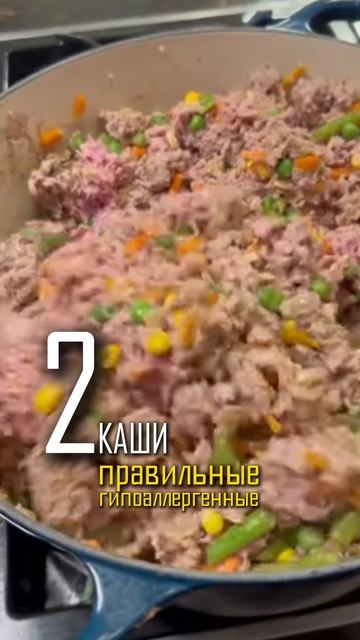3 простых шага к здоровому пищеварению у собаки