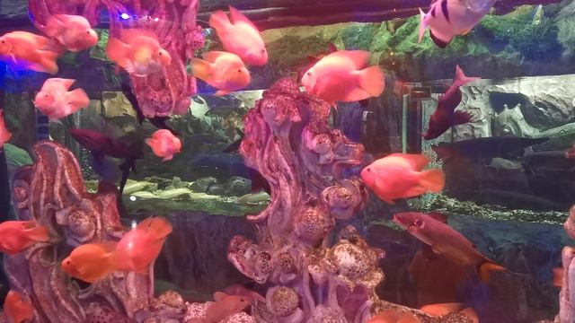 VID_20240612_114521