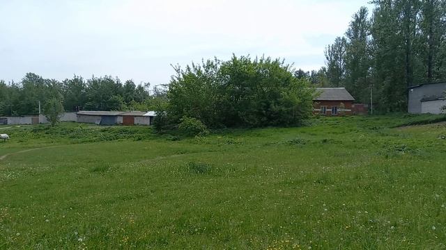 Торги на земельный участок с КН 50:04:0250206:6060