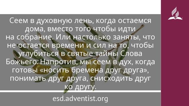 31 мая 2025. Помышляйте о духовном. Под сенью благодати _ Адвентисты