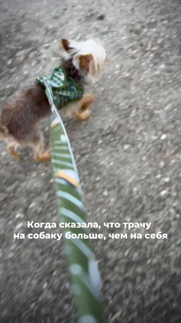 А чтобы вы не покупали много вещей, которые забросите далеко в шкаф…