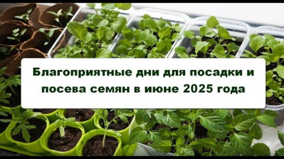 ЭТИ ДНИ В ИЮНЕ 2025 ПРИНЕСУТ ТЕБЕ БЕШЕНЫЙ УРОЖАЙ! 🌱 (Лунный календарь раскрыт)