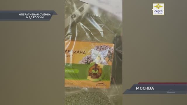 Видео с подозреваемым в резонансном противоправном деянии на территории Московского зоопарка