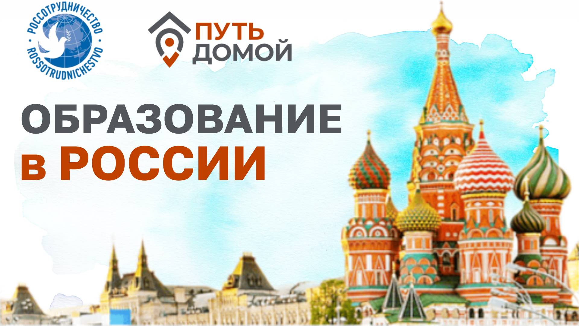 Как получить образование в России? На что имеют право переселенцы? В прямом эфире ответим на вопросы