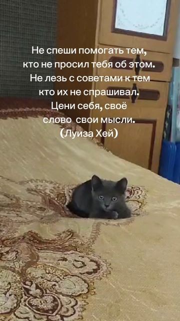 Цени себя! #мудрыевыражения