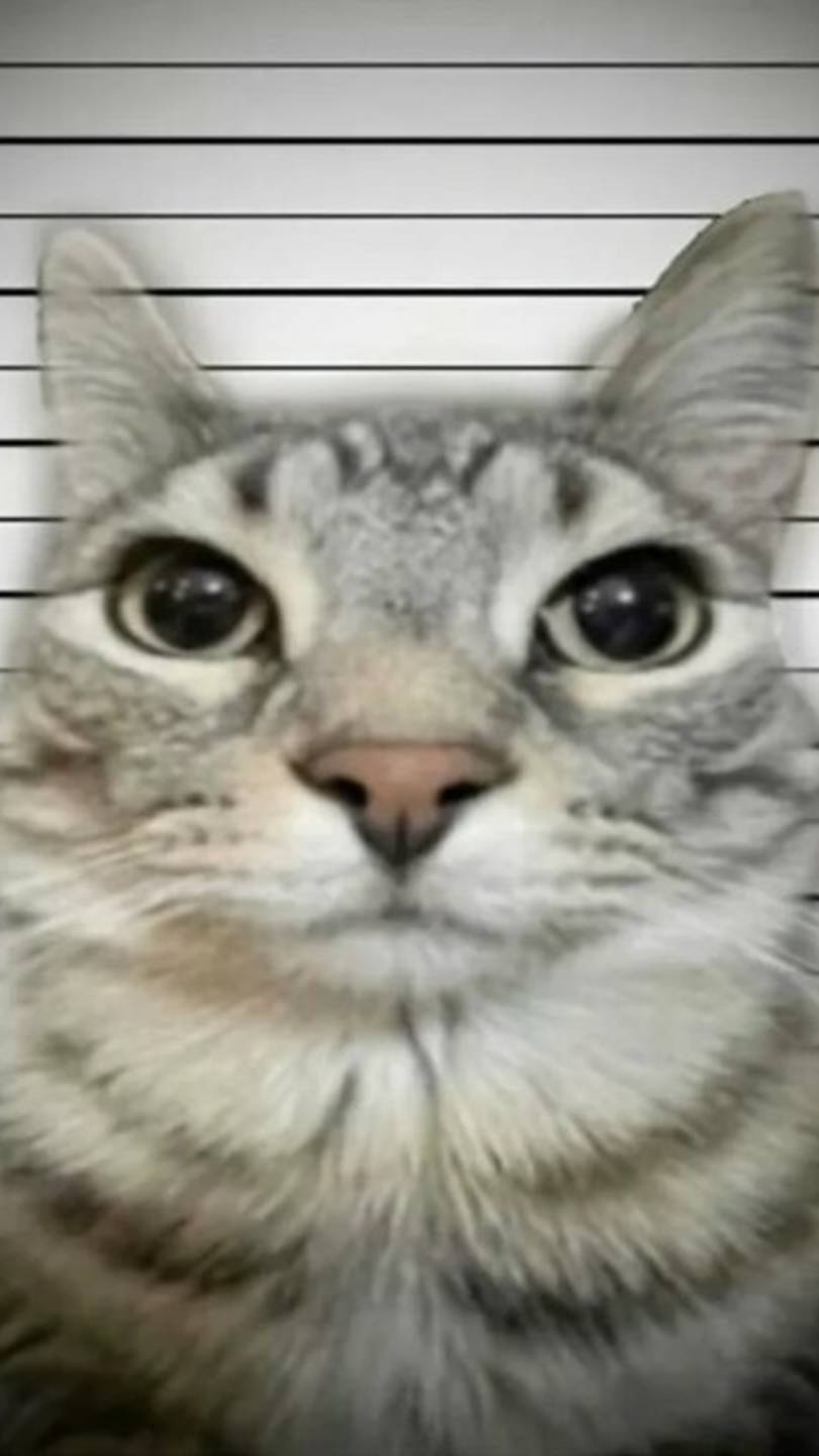 Хз