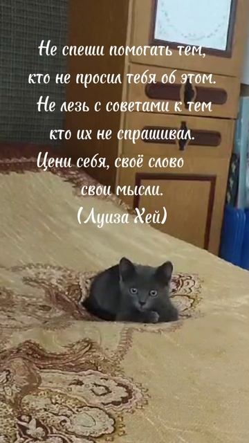 Цени своё слово! #крылатиефразы