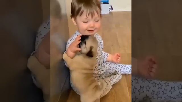Немного милостей вам в ленту)