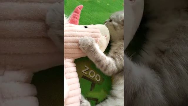 Играем в мини игры!