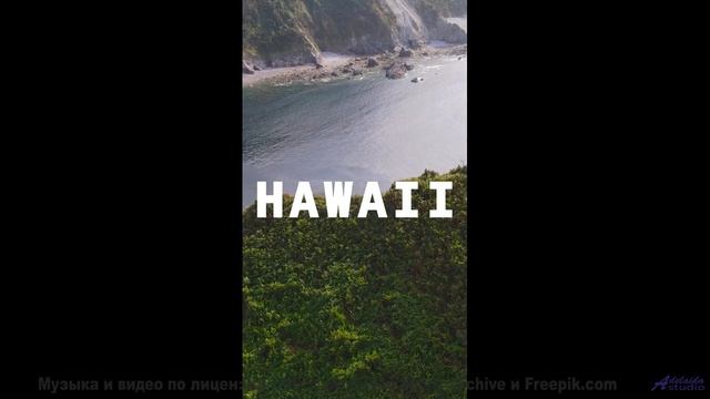 Этот трек - как прогулка по волшебному лесу! - Illuminati -- chicachico -- 3 canciones sobre la muer