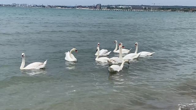 30.05.2025 Анапа море