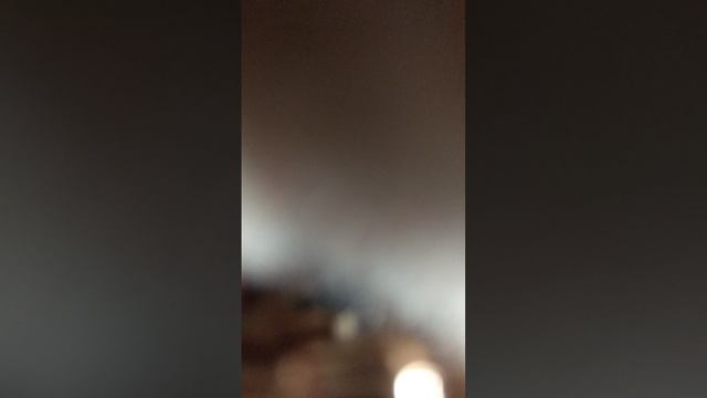 Ванилька перегрелась на солнце! 😭 Что делать?