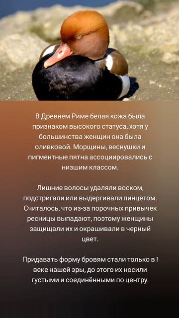 Красота в Древнем Риме 🤗💄🌿