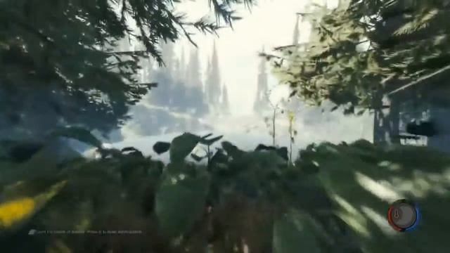The FOREST TheBrainDit и AlexPozitiva СМЕШНЫЕ МОМЕНТЫ