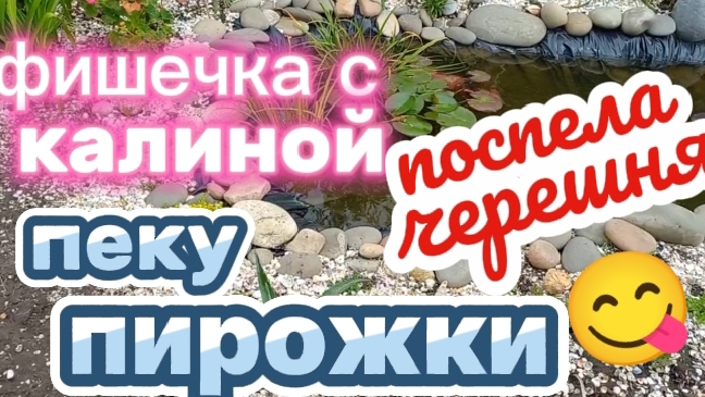 Пекутся пирожки. Фишечка с калиной. Поспела черешня😋