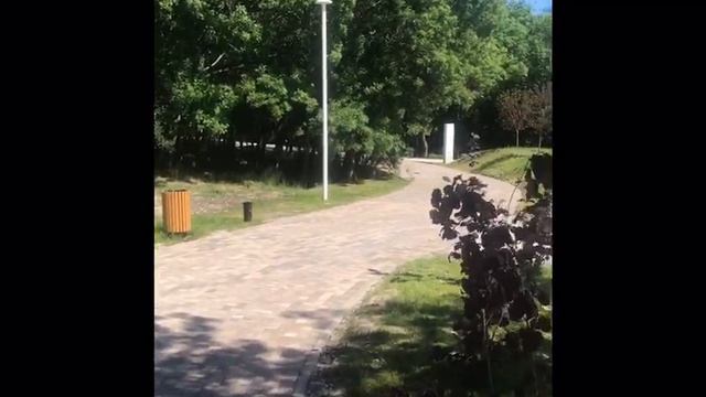 Алупка, Милютинский парк после реконструкции