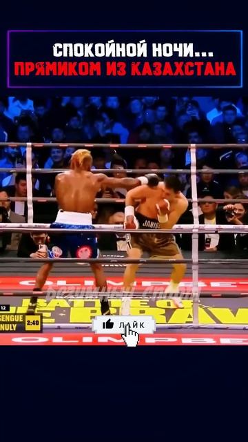 Лучшие нокауты #ufc #mma #youtube #sports #boxing #fighter #tiktok #tiktokvideo #tiktokviral #shots