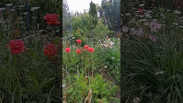 Таро.Что вам надо знать.