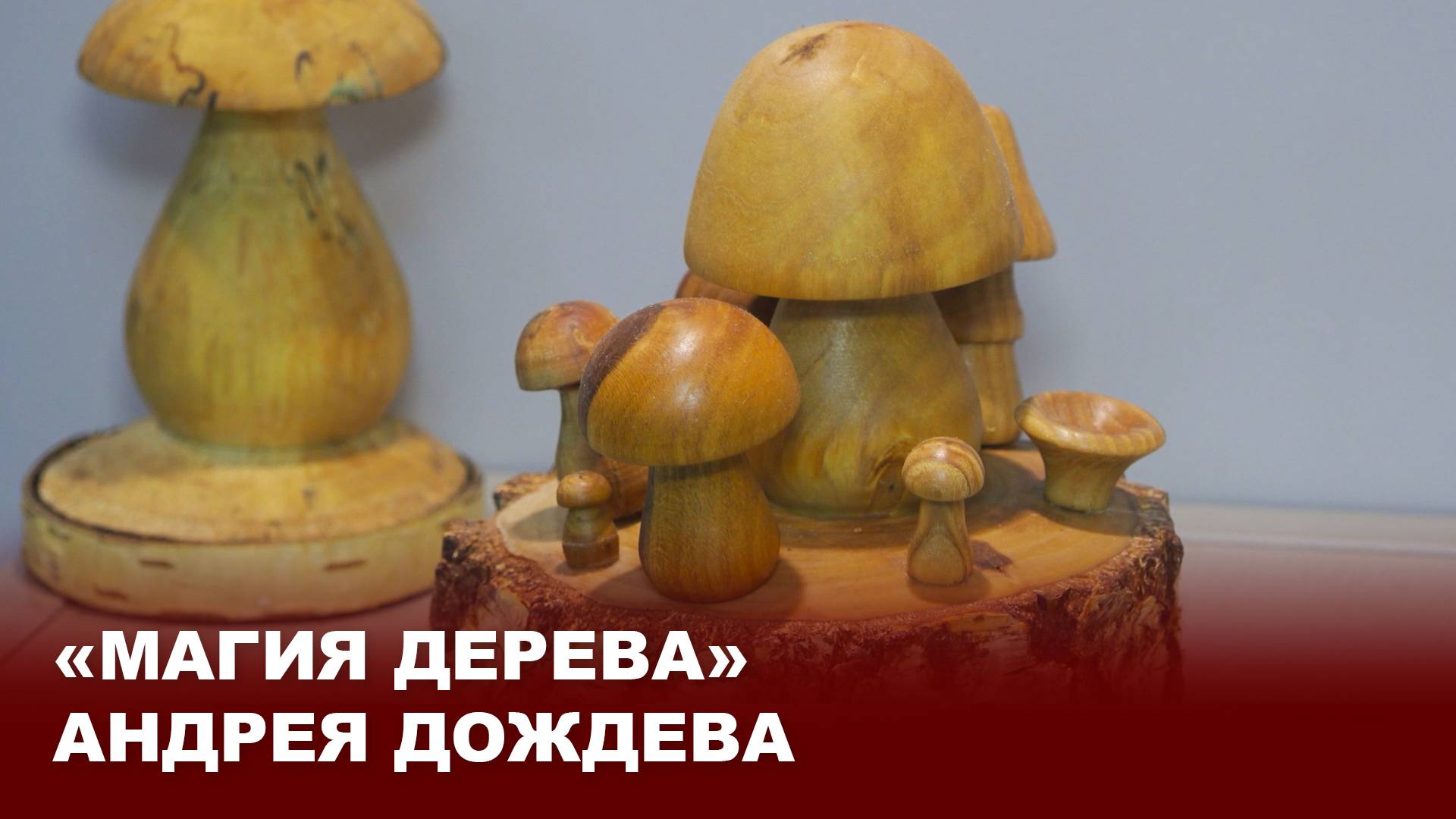 «Магия дерева» Андрея Дождева