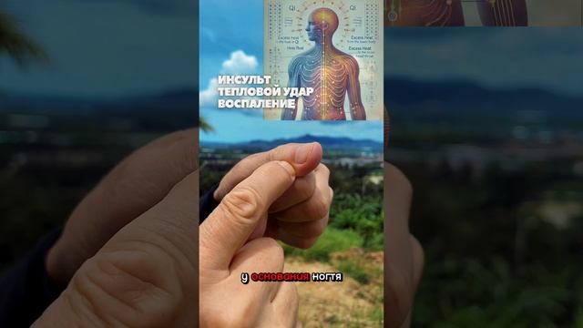 Экстренная помощь при инсульте, тепловом ударе, воспа?