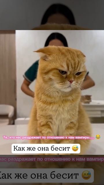 ...😂....
