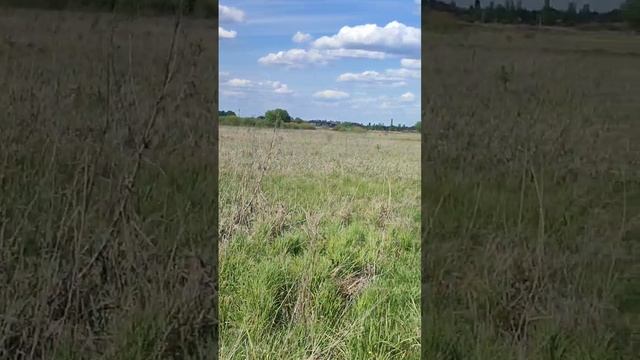 Продажа участка с.Новая Усмань