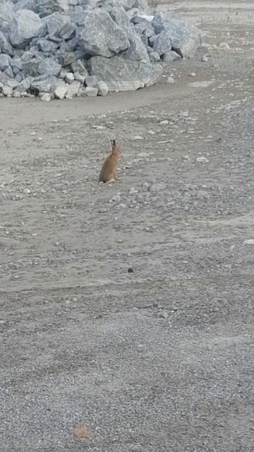 VID_20230718_102634
